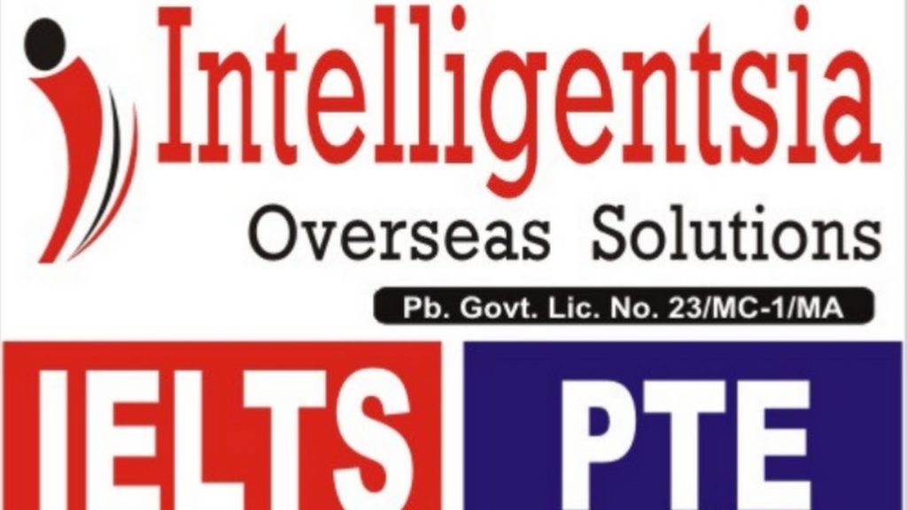  Intelligentsia Overseas Solutions