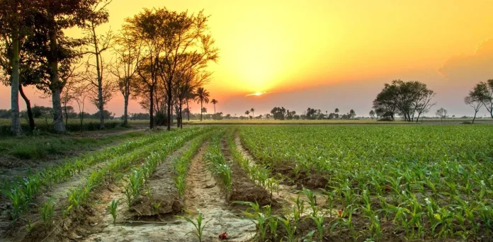 punjab india